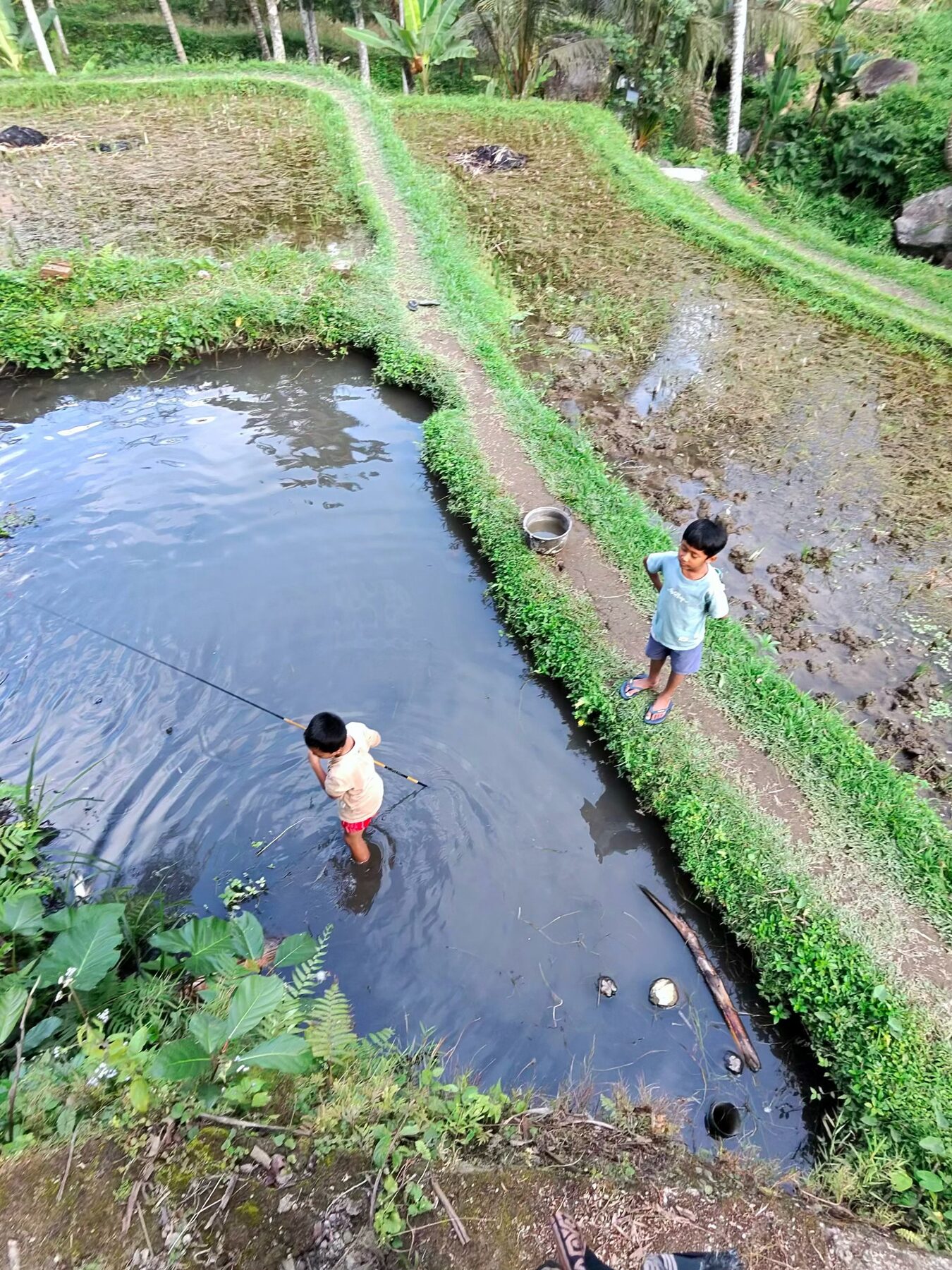 Terraços de arroz em Ubud — o corpo vivo do sistema de água subak.
