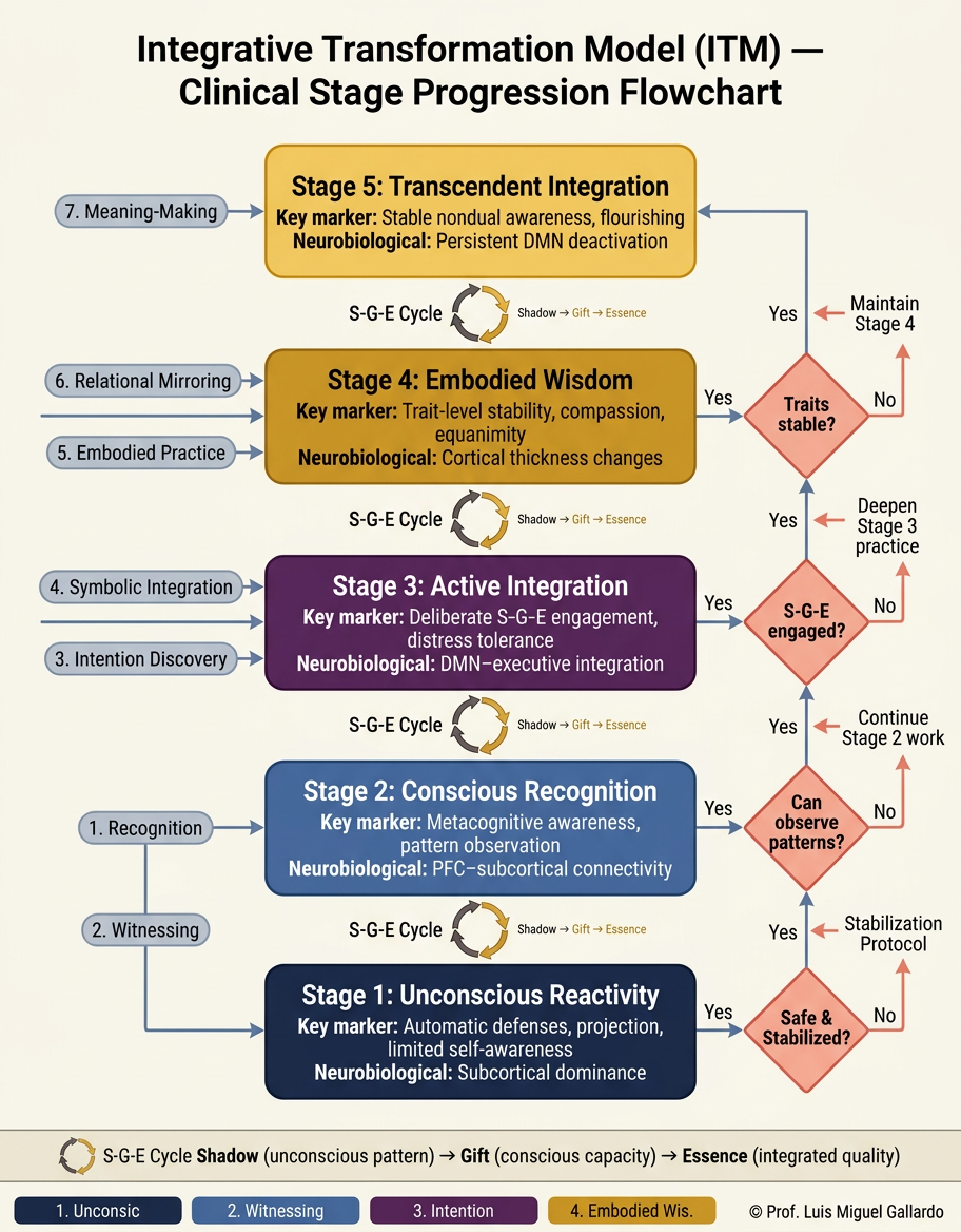 Diagrama de flujo de progresión clínica por etapas del Modelo de Transformación Integrativa, con marcadores clave, correlatos neurobiológicos y puntos de decisión en cada etapa
