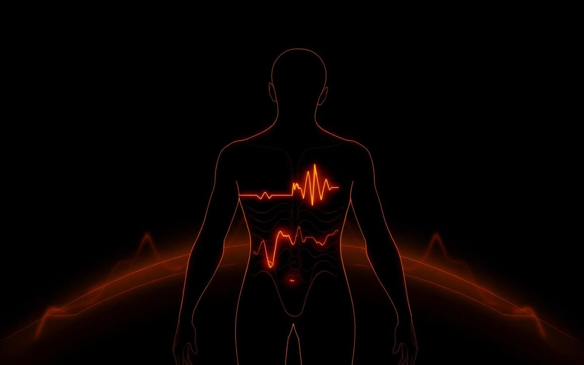 The Somatic Scream — GPTM View 3
