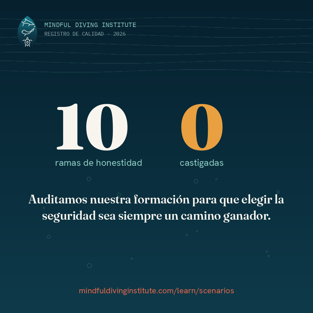 Registro de calidad 2026: diez ramas de honestidad, cero castigadas.