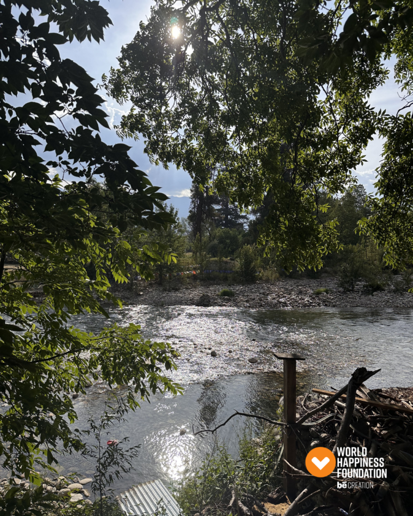 Sunlight through the trees over a Himalayan river