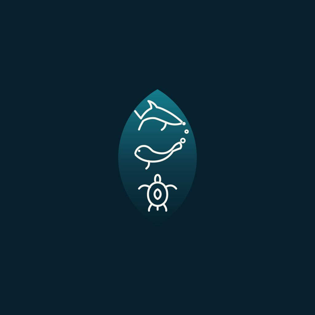 为何选择 Mindful Diving