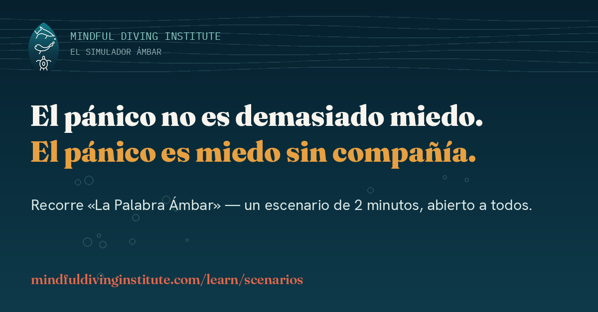 La Palabra Ámbar: dos minutos que cambian cómo se siente el buceo