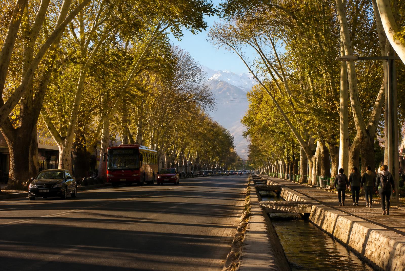 Avenida arbolada de Mendoza con sus acequias y los Andes nevados al fondo.