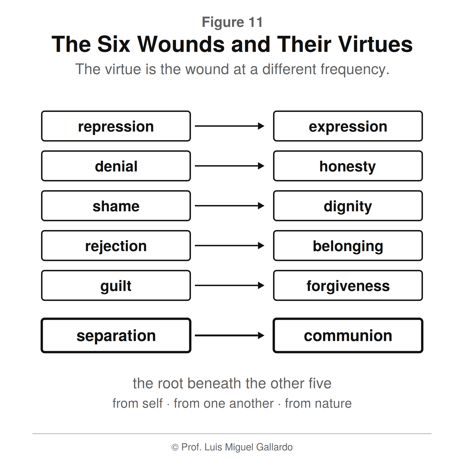 आकृति 11 — The Six Wounds and Their Virtues