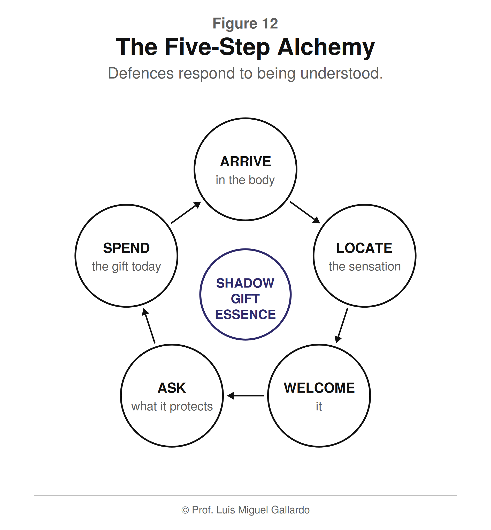 आकृति 12 — The Five-Step Alchemy