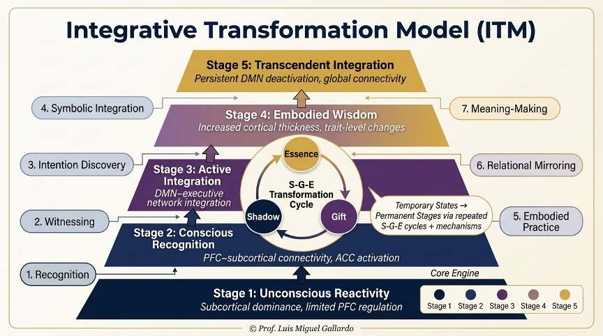 Figure 1 of the paper: the five ITM stages, the central Shadow–Gift–Essence cycle and the seven mechanisms